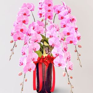 台北花店 蘭花 代客送花 花禮 台北中山區花店 台北松山區花店 台北信義區花店 台北大安區花店 內湖花店 天母花店 線上訂花 外送 開幕祝賀 台北送花 開幕誌慶 升遷祝慶 祝壽 Catherine 大朵粉紅色蝴蝶蘭
