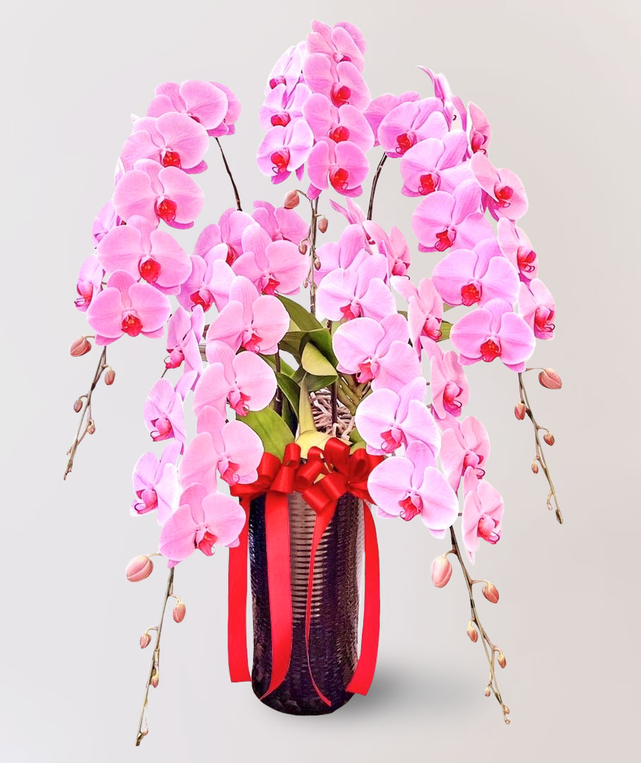 台北花店 蘭花 代客送花 花禮 台北中山區花店 台北松山區花店 台北信義區花店 台北大安區花店 內湖花店 天母花店 線上訂花 外送 開幕祝賀 台北送花 開幕誌慶 升遷祝慶 祝壽 Catherine 大朵粉紅色蝴蝶蘭