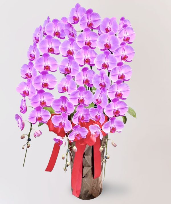 台北花店 蘭花 代客送花 花禮 台北中山區花店 台北松山區花店 台北信義區花店 台北大安區花店 內湖花店 天母花店 線上訂花 外送 開幕祝賀 台北送花 開幕誌慶 升遷祝慶 祝壽 Catherine 大朵粉紅色蝴蝶蘭