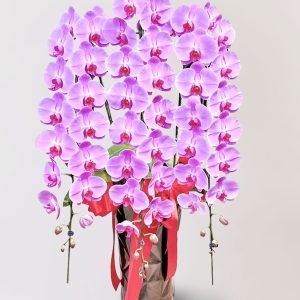 台北花店 蘭花 代客送花 花禮 台北中山區花店 台北松山區花店 台北信義區花店 台北大安區花店 內湖花店 天母花店 線上訂花 外送 開幕祝賀 台北送花 開幕誌慶 升遷祝慶 祝壽 Catherine 大朵粉紅色蝴蝶蘭 企業門面 開業門面 高級餐廳