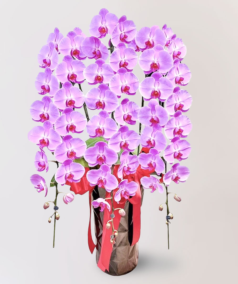 台北花店 蘭花 代客送花 花禮 台北中山區花店 台北松山區花店 台北信義區花店 台北大安區花店 內湖花店 天母花店 線上訂花 外送 開幕祝賀 台北送花 開幕誌慶 升遷祝慶 祝壽 Catherine 大朵粉紅色蝴蝶蘭 企業門面 開業門面 高級餐廳
