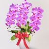 台北花店 蘭花 代客送花 花禮 台北中山區花店 台北松山區花店 台北信義區花店 台北大安區花店 內湖花店 天母花店 線上訂花 外送 開幕祝賀 台北送花 開幕誌慶 升遷祝慶 祝壽 Catherine 大朵粉紅色蝴蝶蘭
