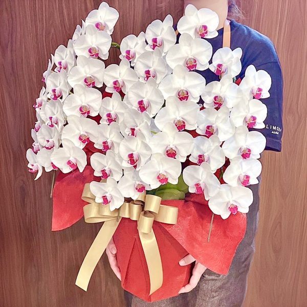 台北花店 蘭花 代客送花 花禮 台北中山區花店 台北松山區花店 台北信義區花店 台北大安區花店 內湖花店 天母花店 線上訂花 外送 開幕祝賀 台北送花 開幕誌慶 升遷祝慶 祝壽 Taian 白色紅心蝴蝶蘭