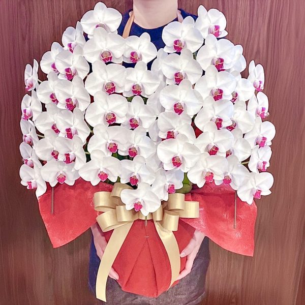 台北花店 蘭花 代客送花 花禮 台北中山區花店 台北松山區花店 台北信義區花店 台北大安區花店 內湖花店 天母花店 線上訂花 外送 開幕祝賀 台北送花 開幕誌慶 升遷祝慶 祝壽 Taian 白色紅心蝴蝶蘭
