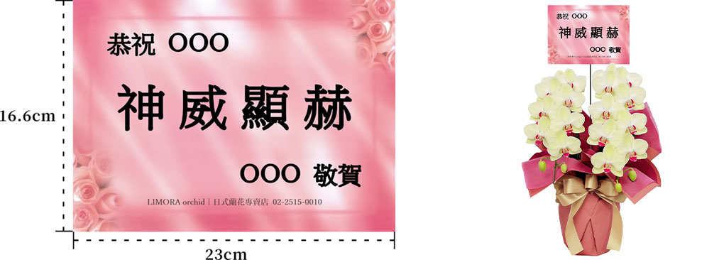 台北花店 蘭花 代客送花 花禮 台北中山區花店 台北松山區花店 台北信義區花店 台北大安區花店 內湖花店 天母花店 線上訂花 外送 開幕祝賀 台北送花 開幕誌慶 升遷祝慶 高級空間擺設  生日祝賀 Apollo 高級花禮 蘭花賀卡