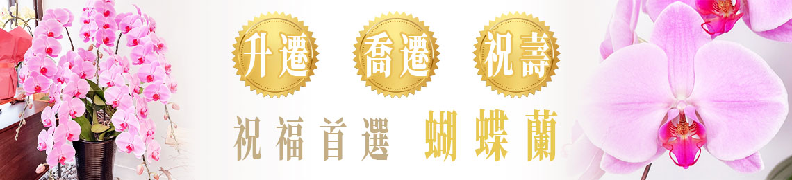 1.升遷喬遷祝壽用大花