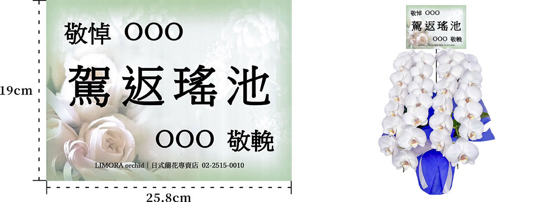 台北蘭花，代客送花，蝴蝶蘭台北花店 蘭花 代客送花 花禮 台北中山區花店 台北松山區花店 台北信義區花店 台北大安區花店 內湖花店 天母花店 線上訂花 外送 喪禮用花 台北送花 Neo 白色蝴蝶蘭 蘭花哀弔卡