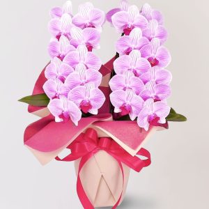 台北花店 蘭花 代客送花 花禮 台北中山區花店 台北松山區花店 台北信義區花店 台北大安區花店 內湖花店 天母花店 LIMORAorchid 喬遷之喜 生日祝賀 客廳餐桌上 家中玄關 粉紅色蘭花