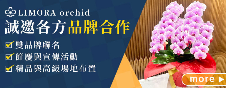 台北花店 蘭花 代客送花 花禮 台北中山區花店 台北松山區花店 台北信義區花店 台北大安區花店 內湖花店 天母花店 線上訂花 外送 開幕祝賀 台北送花 蘭花合作企業 蘭花布置 花店長期配合 品牌合作