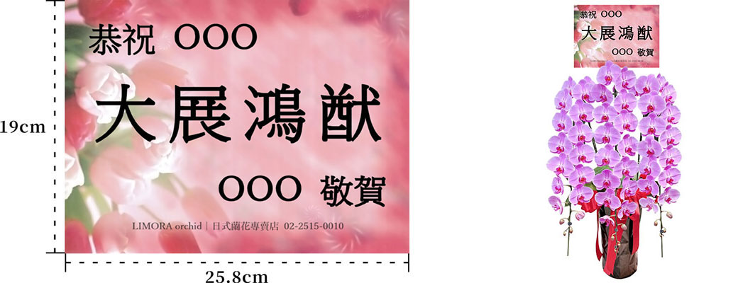 台北花店 蘭花 代客送花 花禮 台北中山區花店 台北松山區花店 台北信義區花店 台北大安區花店 內湖花店 天母花店 線上訂花 外送 開幕祝賀 台北送花 開幕誌慶 升遷祝慶 祝壽 White Rocky 大朵白色蝴蝶蘭 蘭花賀卡