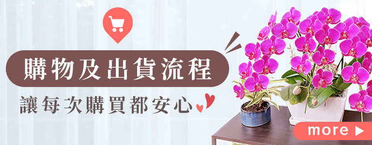 台北花店 蘭花 代客送花 花禮 台北中山區花店 台北松山區花店 台北信義區花店 台北大安區花店 內湖花店 天母花店 線上訂花 外送 開幕祝賀 台北送花 快速出貨
