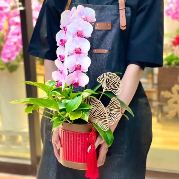 [中花]<br>單梗｜含包裝、賀卡<br>新年活動花禮：圖片 4