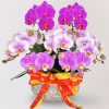 [中花]<br>7梗｜三品種客製化<br>新年活動花禮