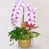 [中花]<br>雙梗｜含包裝、賀卡<br>新年活動花禮