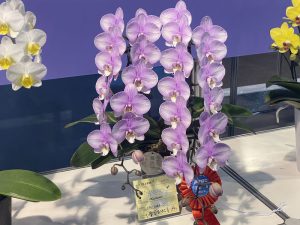 蘭花　台北花店　LIMORA　