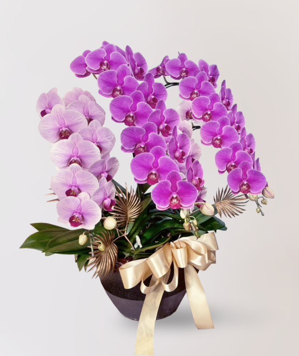 [中花]<br>5梗｜雙品種客製化<br>花朵豪華絢麗奪目：圖片 2
