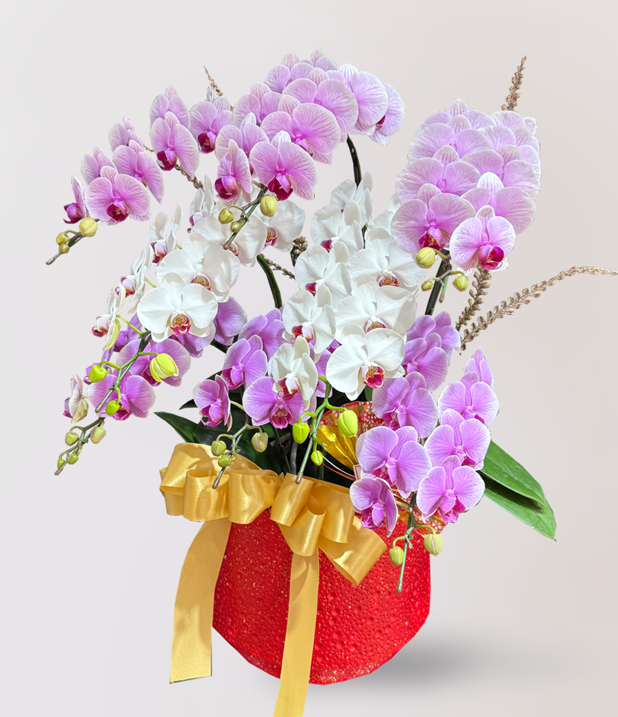 蘭花 台北花店 LIMORA 新年預購 新年
