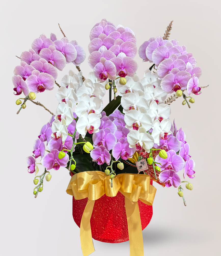 蘭花 台北花店 LIMORA 新年預購 新年