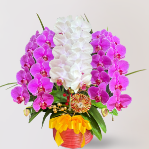 蘭花 台北花店 LIMORA 新年預購 新年