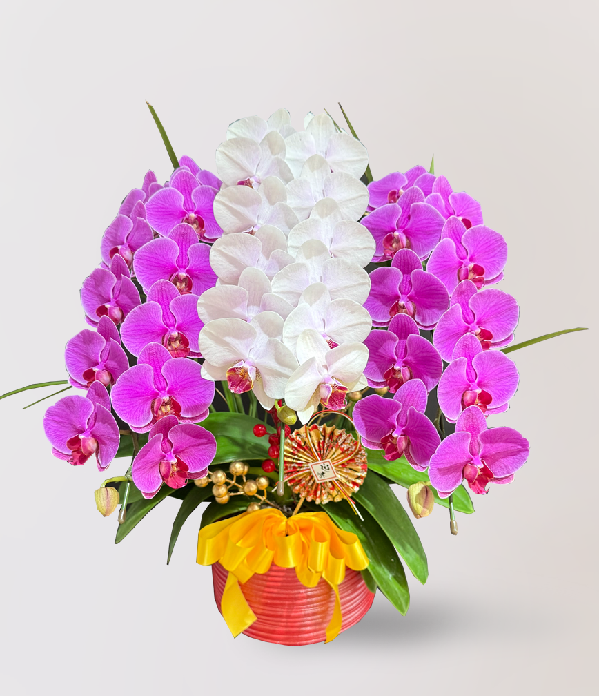 蘭花 台北花店 LIMORA 新年預購 新年