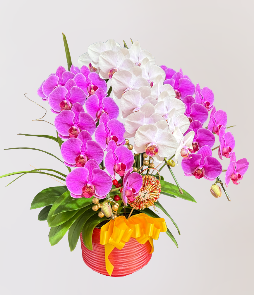 蘭花 台北花店 LIMORA 新年預購 新年