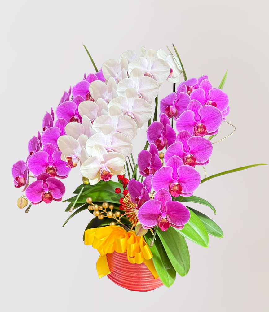 蘭花 台北花店 LIMORA 新年預購 新年