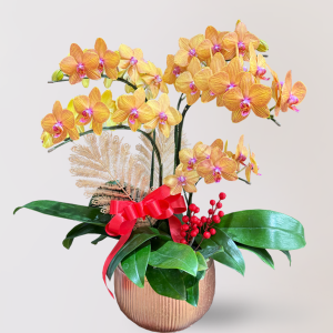 蘭花 台北花店 LIMORA 新年預購 新年