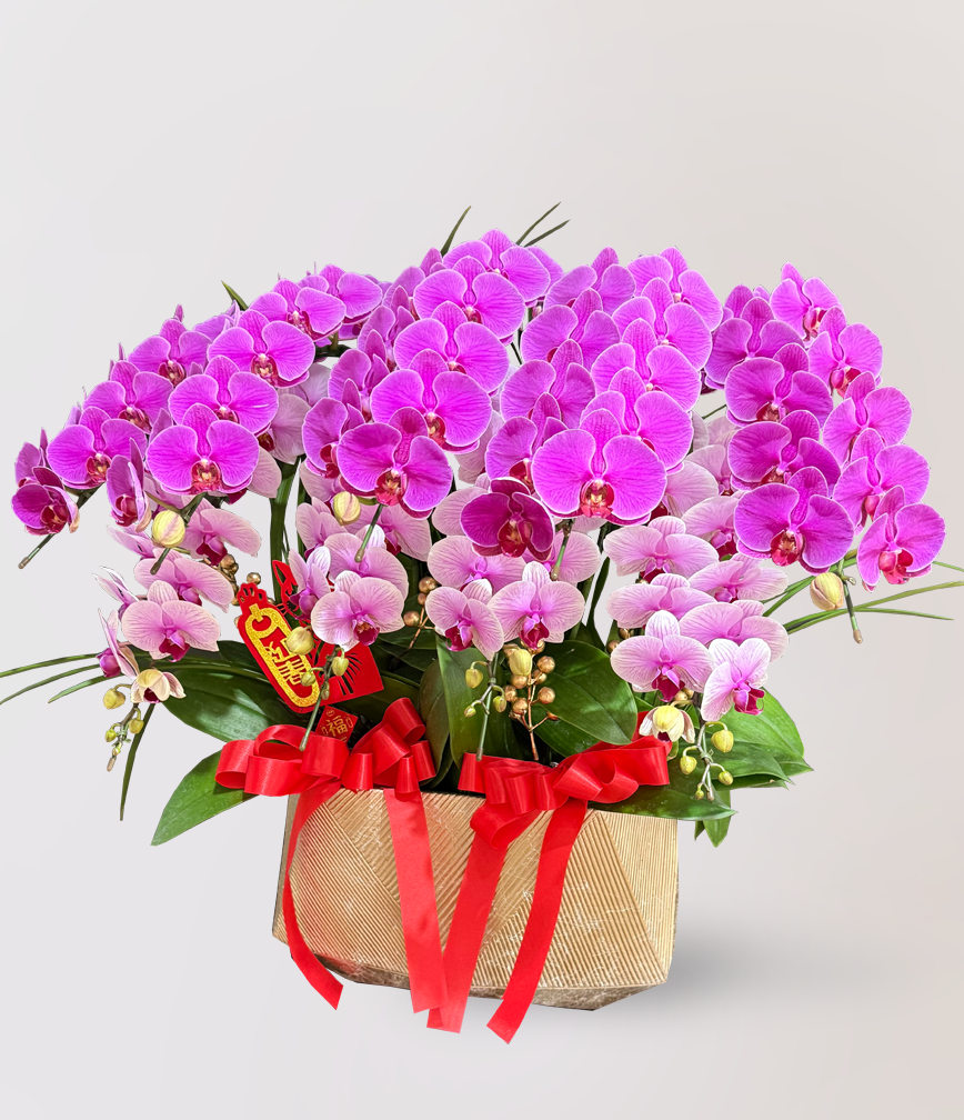 蘭花 台北花店 LIMORA 新年預購 新年