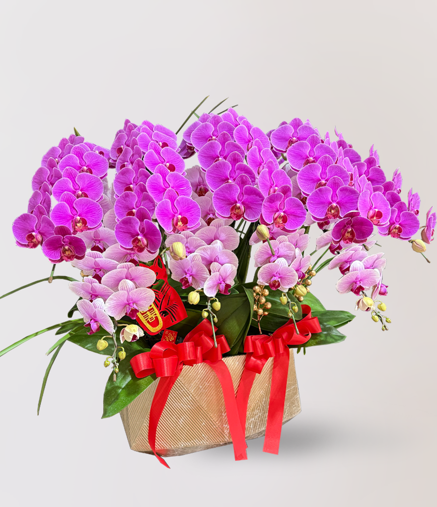 蘭花 台北花店 LIMORA 新年預購 新年