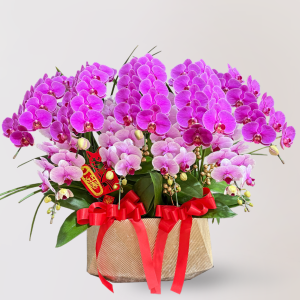 蘭花 台北花店 LIMORA 新年預購 新年