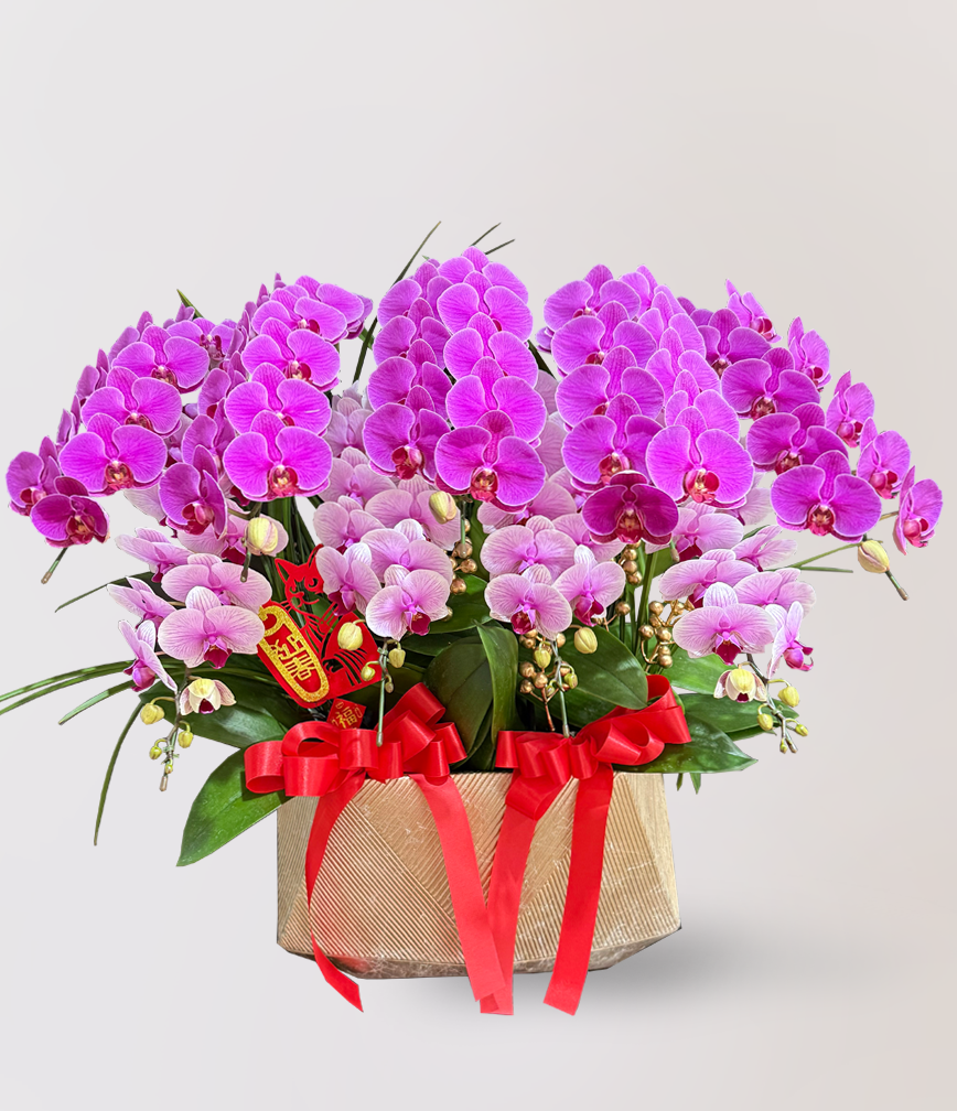 蘭花 台北花店 LIMORA 新年預購 新年