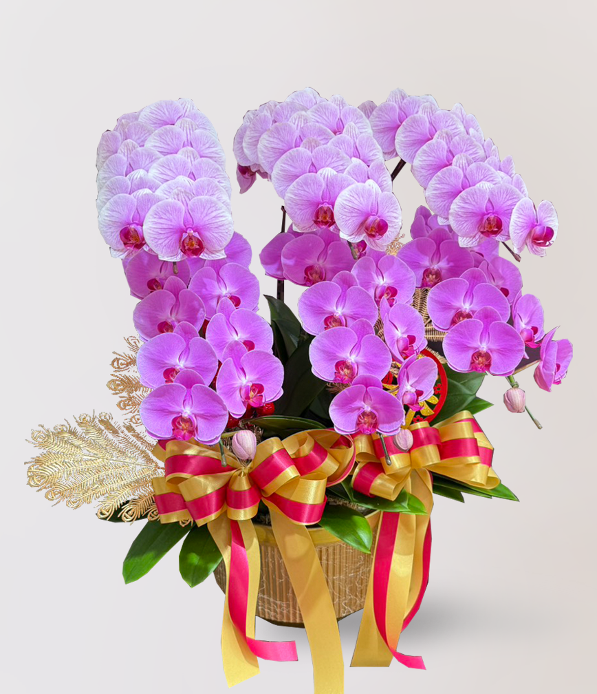 蘭花 台北花店 LIMORA 新年預購 新年