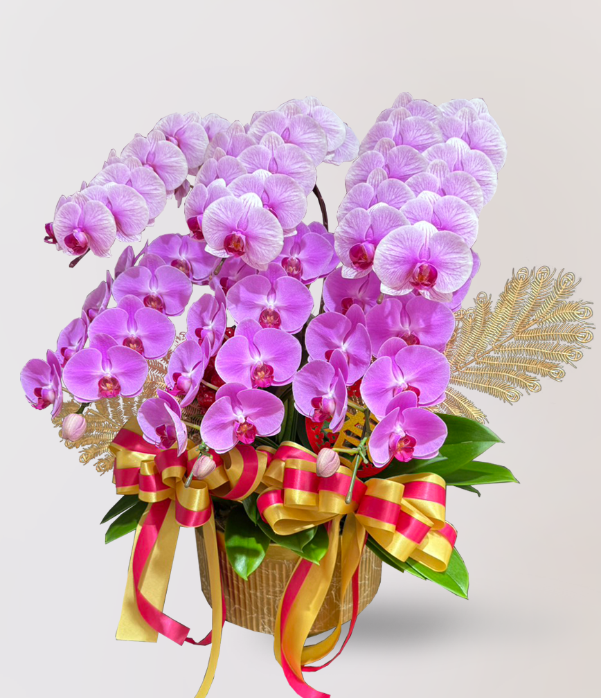 蘭花 台北花店 LIMORA 新年預購 新年