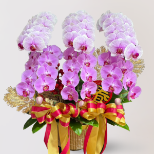 蘭花 台北花店 LIMORA 新年預購 新年