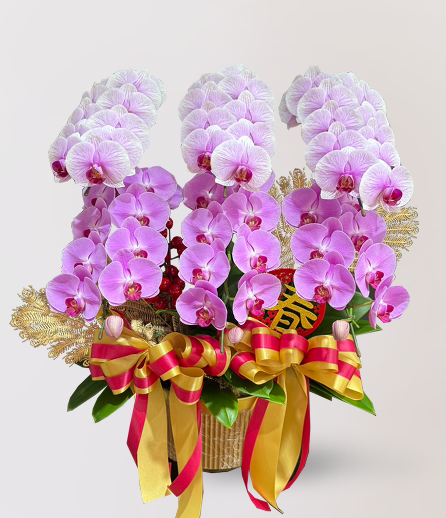 蘭花 台北花店 LIMORA 新年預購 新年