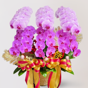 新春過年送禮蘭花盆，Limora Orchid 台北花店代客代送