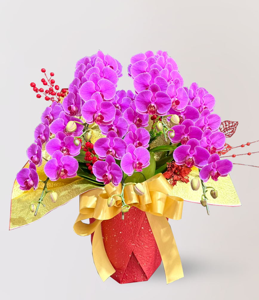 蘭花 台北花店 LIMORA 新年預購 新年