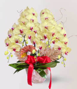 蘭花 台北花店 LIMORA 新年預購 新年