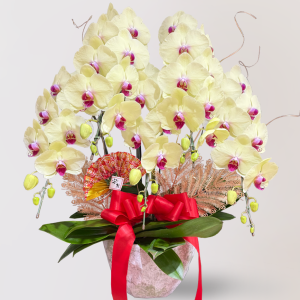 蘭花 台北花店 LIMORA 新年預購 新年