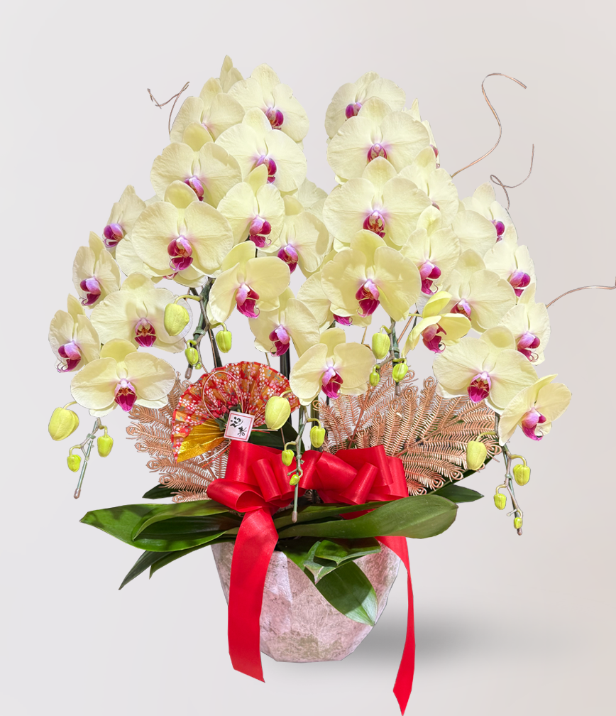 蘭花 台北花店 LIMORA 新年預購 新年