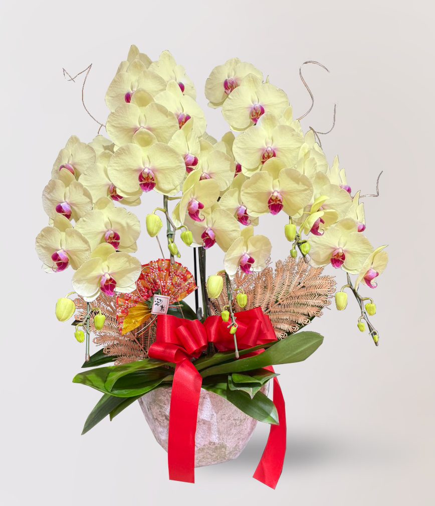 蘭花 台北花店 LIMORA 新年預購 新年