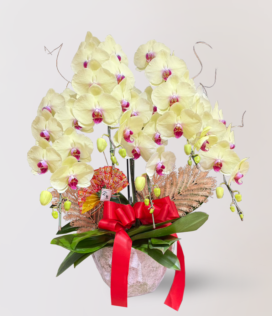 蘭花 台北花店 LIMORA 新年預購 新年