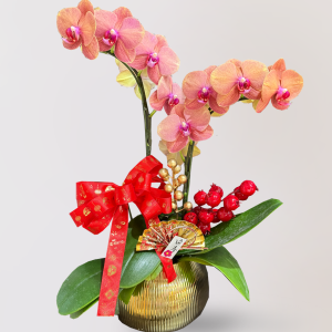 蘭花 台北花店 LIMORA 新年預購 新年