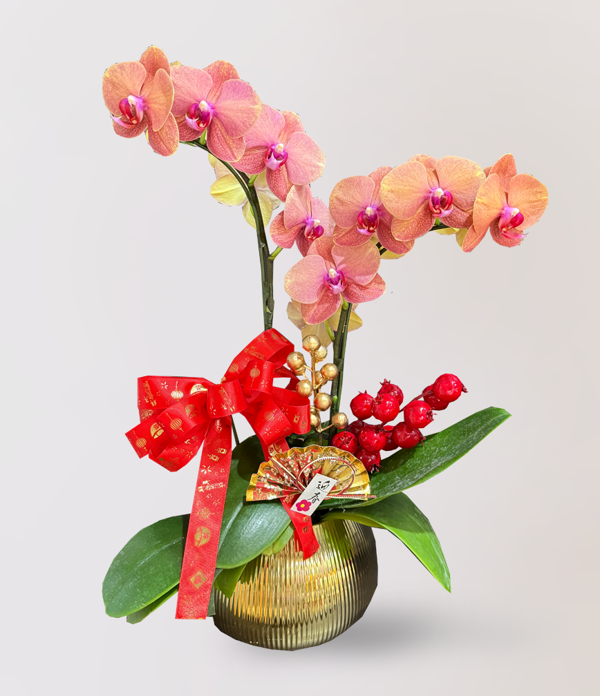 蘭花 台北花店 LIMORA 新年預購 新年