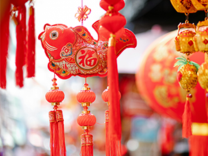 蘭花 台北花店 LIMORA 新年