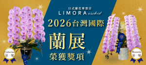 2026台灣國際蘭展得獎 LIMORA orchid榮獲多項大獎 台北蝴蝶蘭專門店