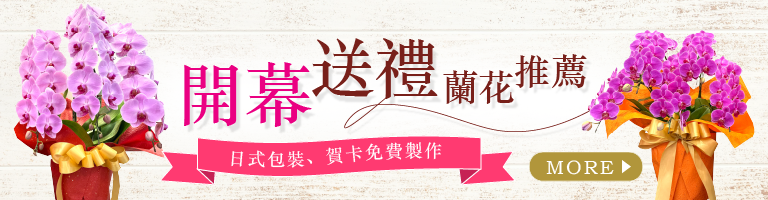 台北花店 蘭花 開幕送禮 升遷